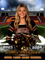 ALHS Senior Cheerleaders 2023